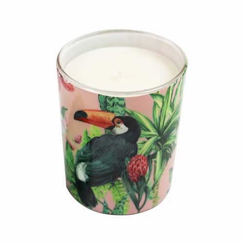 Treasure Hunt® Enameled jar Candle Gift Box Magic Fruit Fragrances for Gift & Home Décor