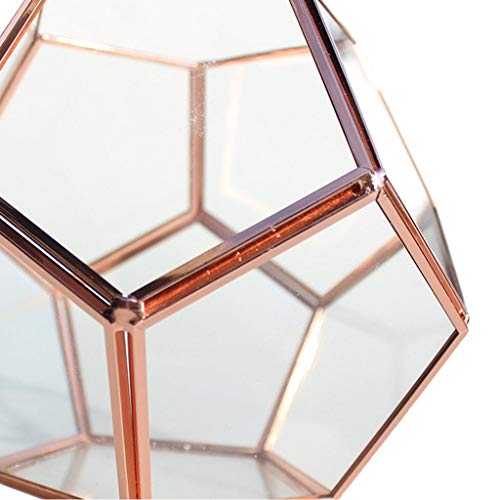Trendy Retail® Geometric Glass Terrarium Planter Succulent Container Multifunctional Tabletop Storage Indoor Ornament