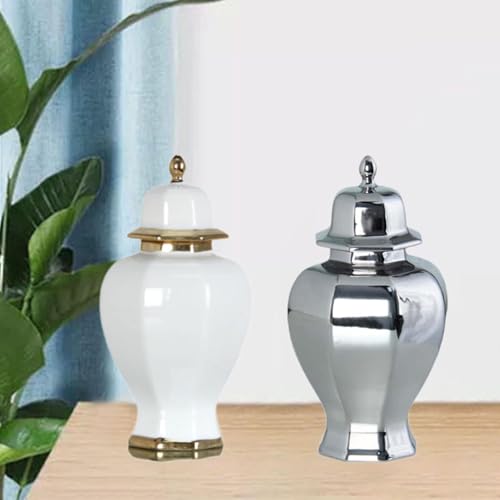 ILSMYSUTRA® Ceramic Vase Modern Ceramic Ginger Jar with Lid for Entryway Bookshelf Party White