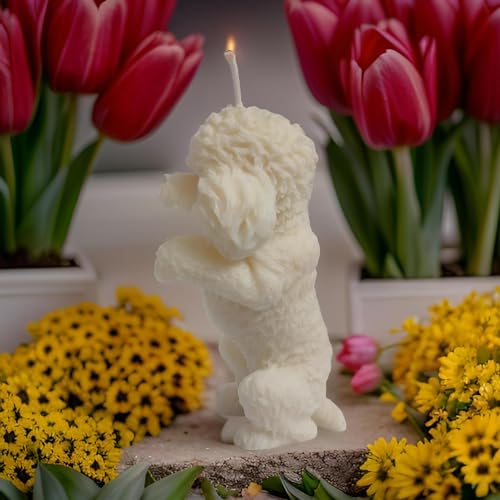 SS ENTERPRISE Organic Soya Wax Poodle Sculpture Candle for Decoration, Party, Diwali, 1 Pack, White