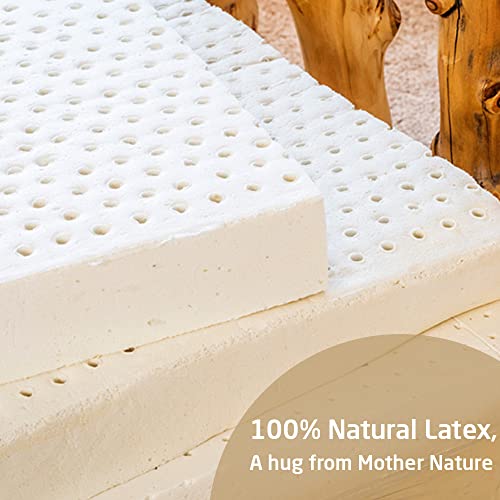 Livpure Smart Jeeva Natural Latex Foam Mattress | Plant Oil Based Foam with Citrus Frangrance | Durable | Ultra Soft | 6 Inch, King 78x72x6 (inches) with Removable Cotton Cover