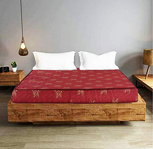 Coirfit Beetle with 36 Years of Trust 4-inch Queen Size Coir Mattress (72x48x4)