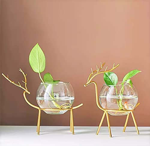 Unique Art. Glass Planter Holder Deer |Glass Pot| Glass Flower Pot| Glass Flower Round Vase Handmade for Decorate House,Set of 2(Colour-Gold)