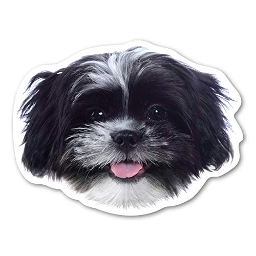 (Black and White) Shih Tzu Dog Magnet by Magnet America is 4.375" x 5.75" Made for Vehicles and Refrigerators