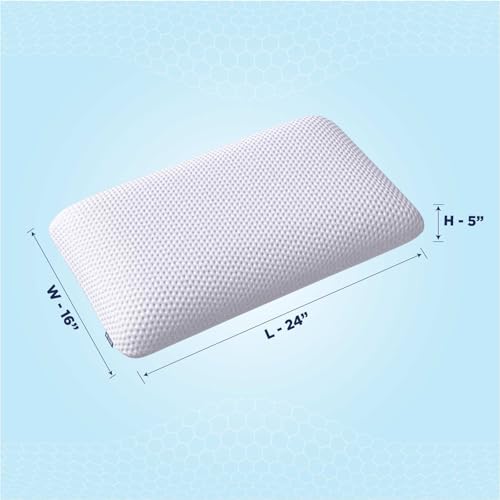 The Sleep Company SmartGRID Premium Hybrid Pillow| The Ultimate Pillow Ever Designed by Science, No Pressure Support, Cotton| White (24x16x5 Inches) (66x40x10 cm) Pack of 2