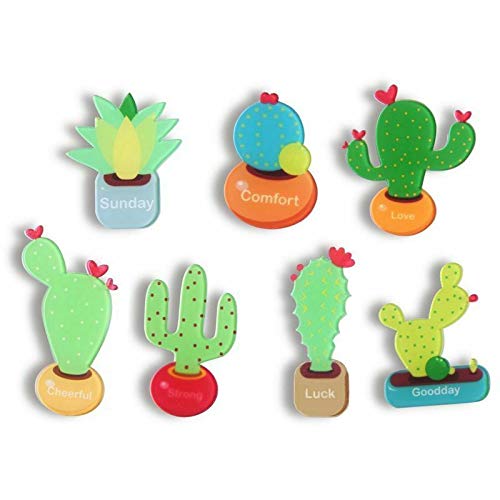 UBERSWEET® 1X(Cactus Magnets Refrigerator Magnet Fridge Magnet Cactus Kitchen Magnets B3Z7