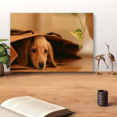 GADGETS WRAP Canvas Gallery Wrap Framed for Home Office Studio Living Room Decoration (14x11inch) - Puppy Sneaking