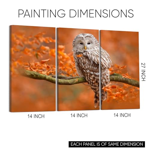 GADGETS WRAP Canvas Gallery Wrap Framed for Home Office Studio Living Room Decoration (3Part, 14x27inch Each) - Owl Sitting