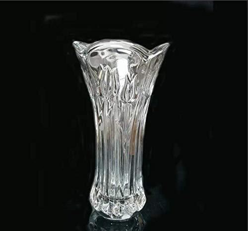 SQUICKLE Flower Vase Glass Pot for Living Room/Home/Office