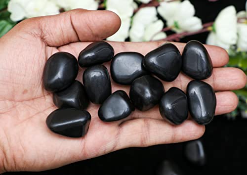 ZAICUS 1/2 lb Black Tourmaline Tumbled Stones | Polished Crystals Healing | Natural Stones | Feng Shui | Chakra Balancing | Good Luck | Reiki Gift | Home Decor