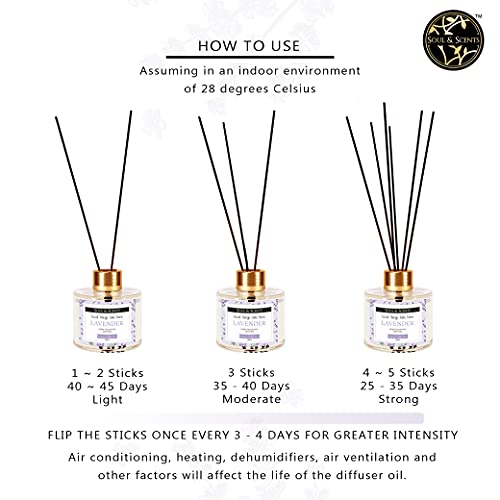 Soul & Scents Glass Lavender Reed Diffuser Set with 6 Fiber Reed Sticks|Toxin Free & Stress Relief|Fine-Living Natural Fragrance|Long Lasting|Smoke Less Room Freshener for Home, Bedroom|120ml