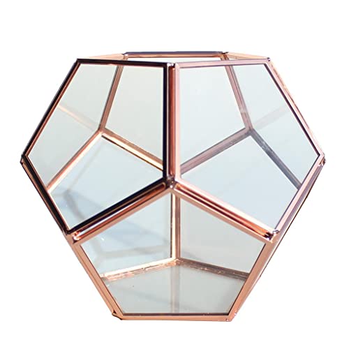 Trendy Retail® Geometric Glass Terrarium Planter Succulent Container Multifunctional Tabletop Storage Indoor Ornament
