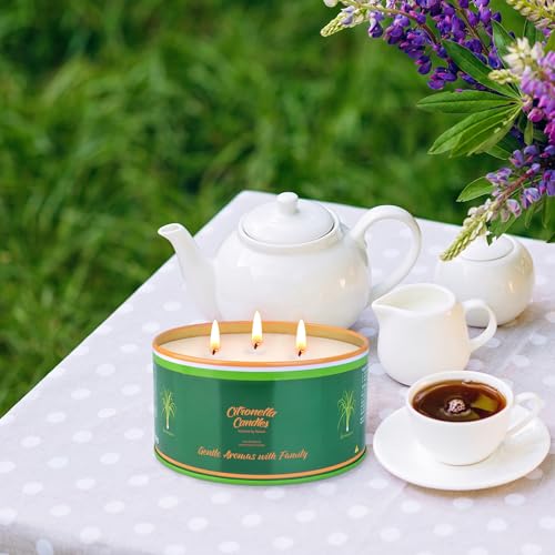 Citronella Candles Outdoor,3 Wick Large Citronella Candle for Patio, 2 Pack Soy Wax Lemongrass Candles, Scented Candles for Indoor Outdoor Garden Backyard Camping Summer Vocation