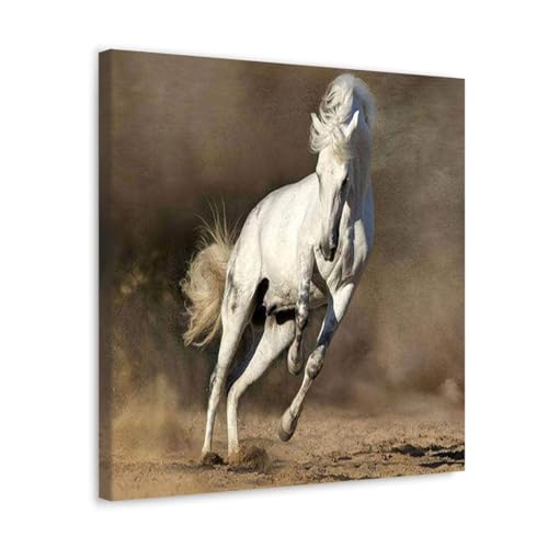 GADGETS WRAP Canvas Gallery Wrap Framed for Home Office Studio Living Room Decoration (10x10inch) - White Horse