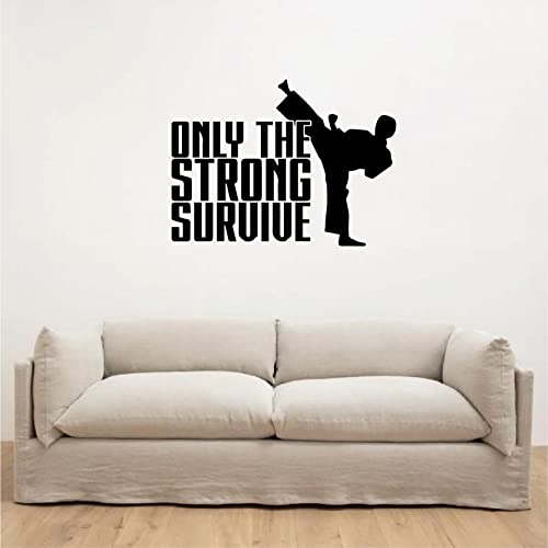 ISEE 360® Karate Wall Stickers for Bedroom Living Room Pooja Room Home Decoration Vinyl Die Cut Wall Stickers L X H 36 X 27 Cms