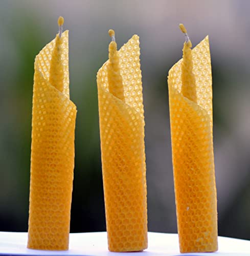 Beeswax Moonlight Candles (Yellow, Pack of 12) Pure Beeswax,100% Natural,Candles for Party Decoration, Diwali, Wedding, Candlelight Dinners, Valentine's Day, Home Decoration, Natural Scented.