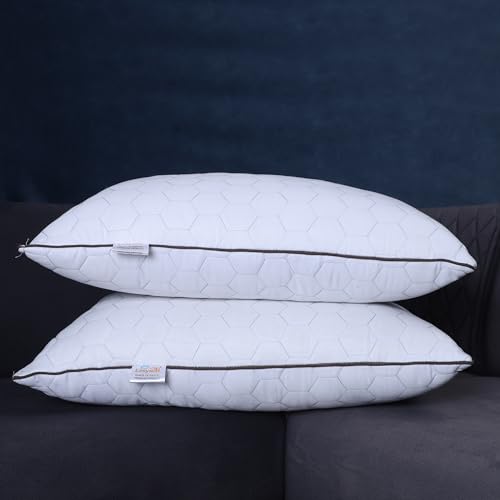 Eesysoft 1 Pcs Pillow with Piping Microfiber Soft Pillows for Bed, Exoctica Cord Breathable Sleeping Pillows Soft & Over-Filled for Neck, Head & Back Support (17 x 27, Pack of 1)