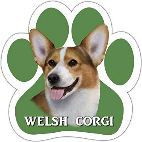 Welsh Corgi Car Magnet with Unique Paw Shaped Design Measures 5.2 by 5.2 inches Covered in UV Gloss for Weather Protection