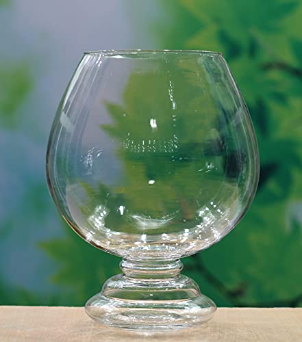 SHOBHANA ENTERPRISES Crystal Clear Glass Fish or Terrarium Wine Cup Bowl (8 inches)