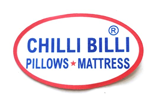 CHILLI BILLI Reversible Foldable EPE Foam Single 3 Fold Bed Mattress (Medium Soft, 72 x 47 x 2 Inch 2 inch) (6X4 FT)