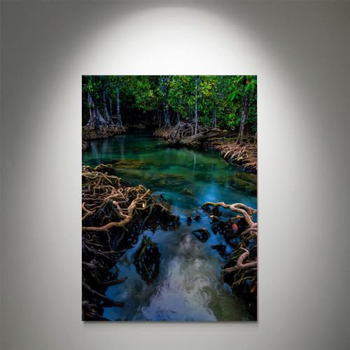 GADGETS WRAP Canvas Gallery Wrap Framed for Home Office Studio Living Room Decoration (9x11inch) - Mangrove Forest Photograph Krabi Thailand