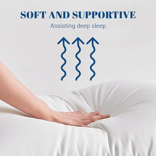 VLYSIUM 16x24 Inch Set of 2 pillow for sleeping, Soft pillows for Stomach and Back Sleepers, Standard, set of 2, White, 41 x 61 cm - Plain White