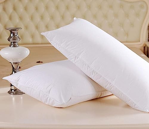 Urbane Home Luxurious 2 Piece Microfibre Pillow Filler (White, 16x24 inches)