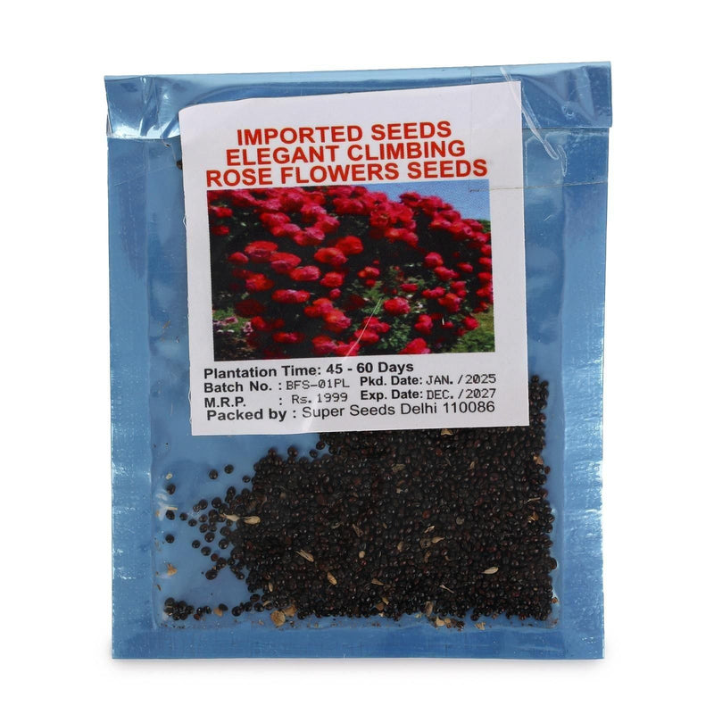 Plant Growth Pack of 2 and Elegant Climbing Rose Flower Seeds Pack of 2