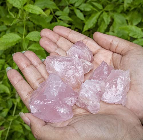 Zaicus Rose Quartz Rough Stone - Raw Stones and Crystals Bulk for Tumbling, Jewelry Making, Cabbing, Lapidary, Fountain Rocks, Decoration, Wire Wrapping, Reiki Crystal (500 Gram)