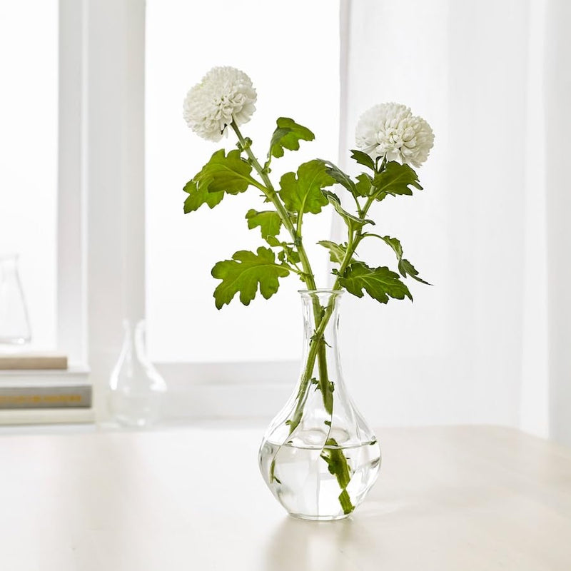 VILJESTARK Vase, Thin Neck Vase, Flower Pot, Table Vase for Decoration (Clear Glass - 17 cm)