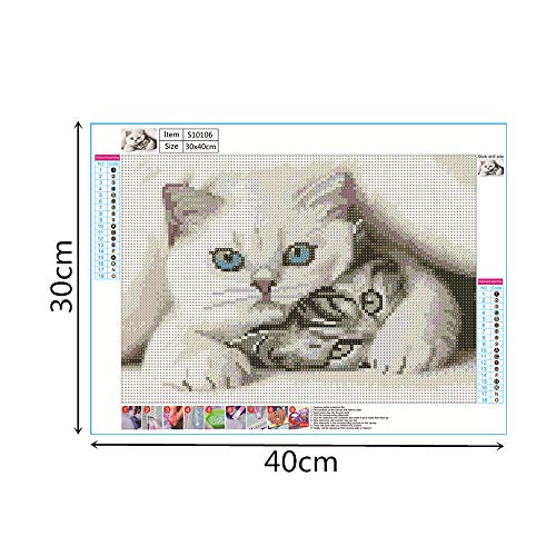 DIY 5D S10106 Cat 40X30 Full Embroidery tings Arts Craft for Home Wall Decor(S10106)-POOWE