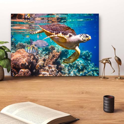 GADGETS WRAP Canvas Gallery Wrap Framed for Home Office Studio Living Room Decoration (14x11inch) - Sea Turtle Swimming