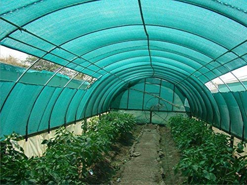 Divayanshi Green Shade Net for Garden and Balcony with Niwar 90-95% High Density (6 x 12 ft, Green)