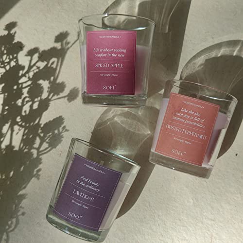 SOEL Scented Shot Glass Candles - Set of 4 (Jasmine, Frosted Juniper, Spiced Apple & Twisted Peppermint)