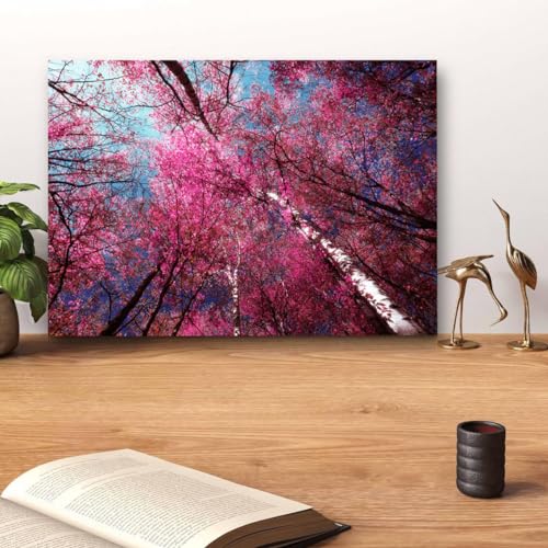 GADGETS WRAP Canvas Gallery Wrap Framed for Home Office Studio Living Room Decoration (14x11inch) - Pink Autumn Trees In Forest Scenery