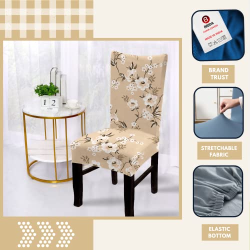 BRIDA Polyester Blend Stretchable Floral Printed Dining Chair Covers (Set of 4, Beige, Standard)