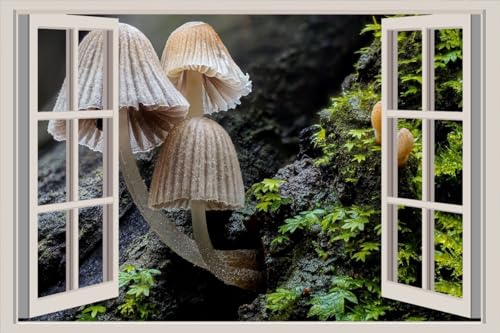 JVERF - JZZA24785 Mushrooms Closeup coprinellus disseminatus Moss| Self-Adhesive Open Window Wall Sticker