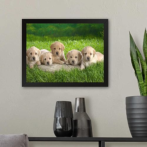 GADGETS WRAP Printed Photo Frame Matte Painting for Home Office Studio Living Room Decoration (11x9inch Black Framed) - Puppies Club