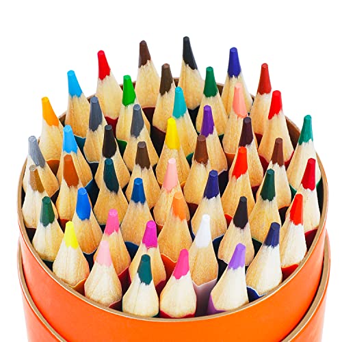 AmazonBasics Oil Color Pencil,48 Colors with a Pencil Sharpener