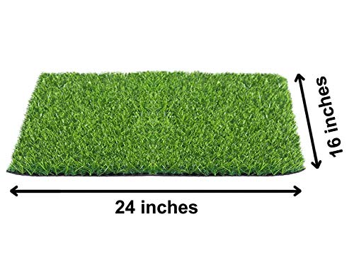 Heart Home 45 mm Soft and Durable Plastic Turf Carpet Mat, Artificial Grass (16" X 24") Green-HEART11762, Standard (HEART011762)