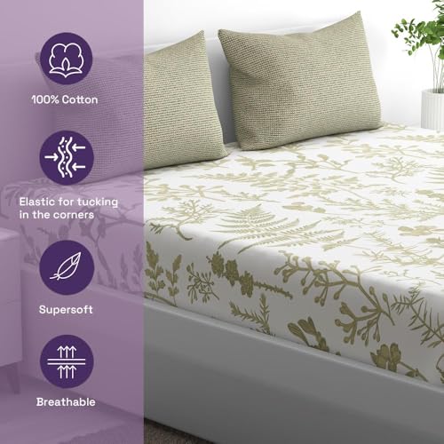 100% Cotton 152 TC Fitted Bedsheet with 2 Pillow Covers | Buffey King, 72" x 70", Buffey| 1.83m x 1.78m