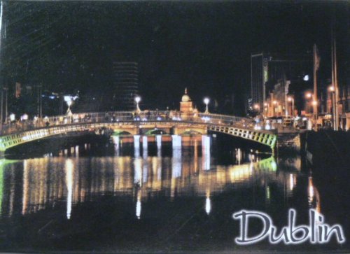 World By Shotglass Dublin Ireland Fridge Collector's Souvenir Magnet 2.5" X 3.5"