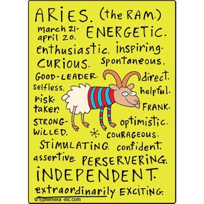 Aries nice Clayboys - RECTANGLE MAGNET