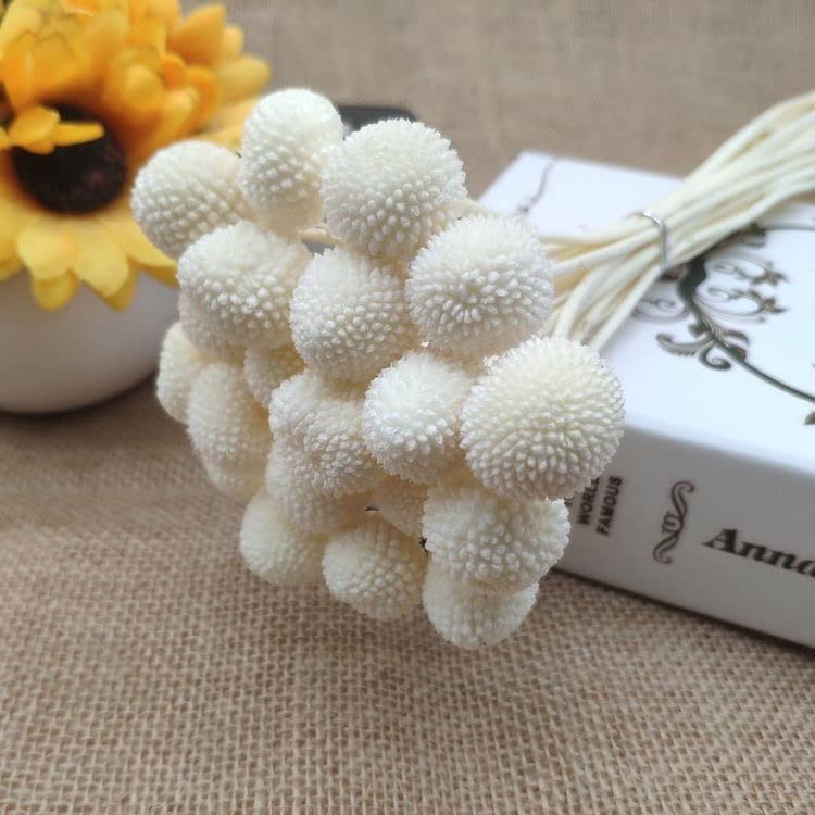 Arte Casa - 10 pcs Dried Craspedia Flowers Billy Button Balls Artificial Yellow for Decor Room Decoration Photography Props