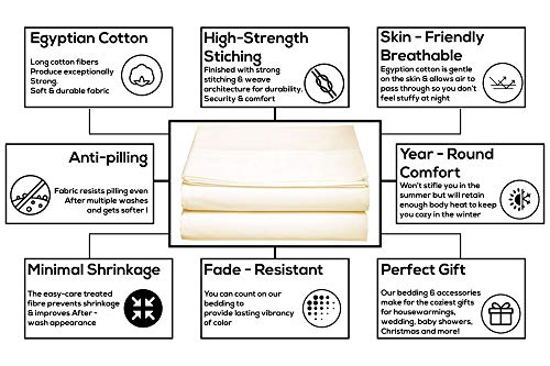 Trend Bedding Mart 1PC Solid Flat Sheet Smooth Touch Hotel Quality 100% Egyptian Cotton Perfectly Fit for Oversize and Extra Height King Bed 108 Inch x 112 Inch Ivory Solid 600 Thread Count