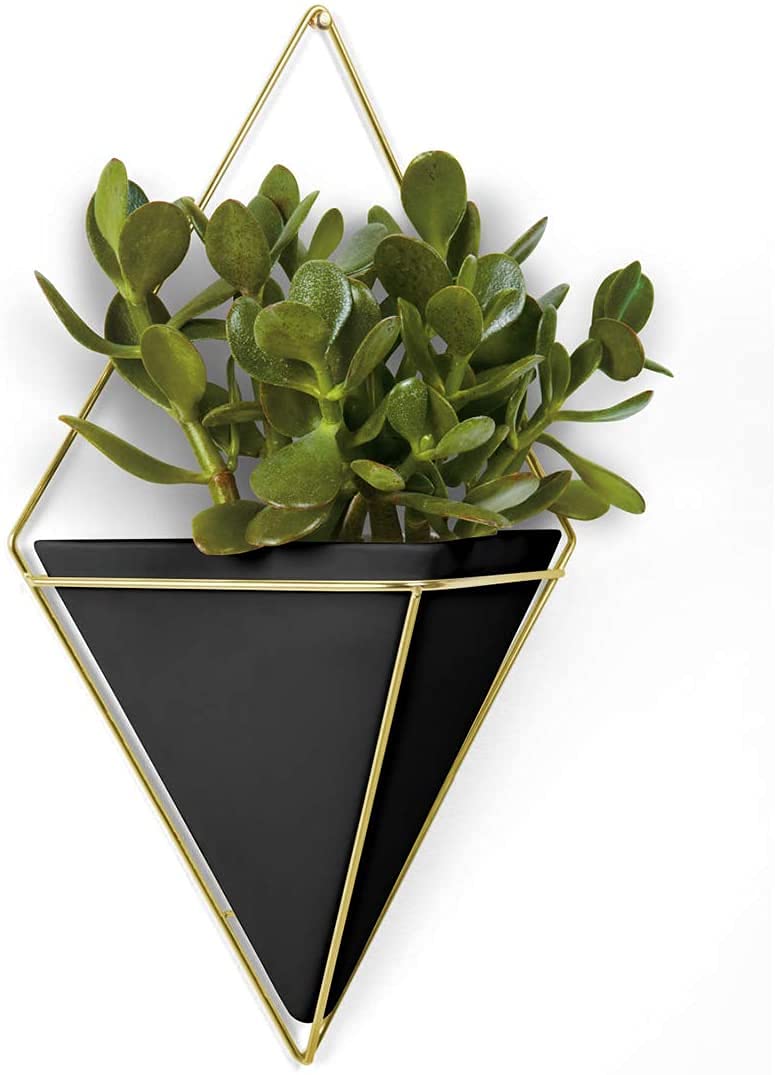 T J Hanging Planter Vase & Geometric Wall Décor Container, Black/Brass