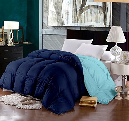 Raymond Home Microfibre Double Quilt (Blue)