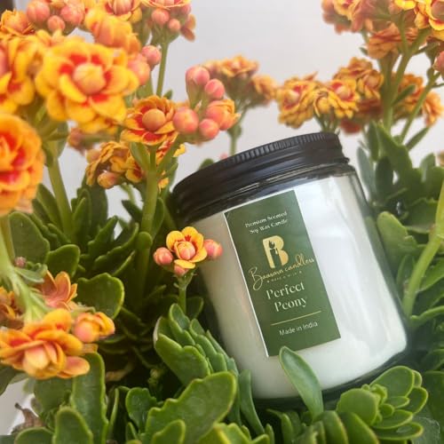 BAASARN Candless Scented Jar Candle Aroma Candles Hand-Poured 100% Natural Soy Wax Scented Jar Candles for Gifting & Home Decore (Perfect Peony)