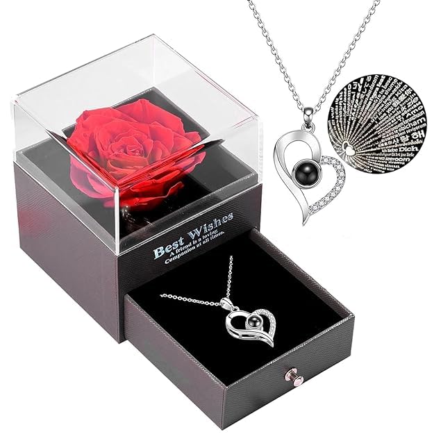 TIED RIBBONS Birthday Gift for Girls Girlfriend Wife Mom Mother Girls Women Friends Anniversary Wedding Gift Preserved Red Rose Flower Box with I Love You in 100 Languages (Silver Necklace)