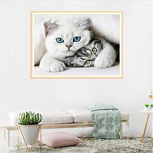 DIY 5D S10106 Cat 40X30 Full Embroidery tings Arts Craft for Home Wall Decor(S10106)-POOWE